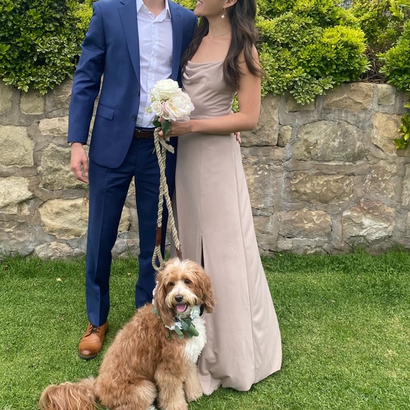 Birdy Grey Ash Dress in Taupe (5’4” & UNDER ONLY!) - Picture 5 of 5